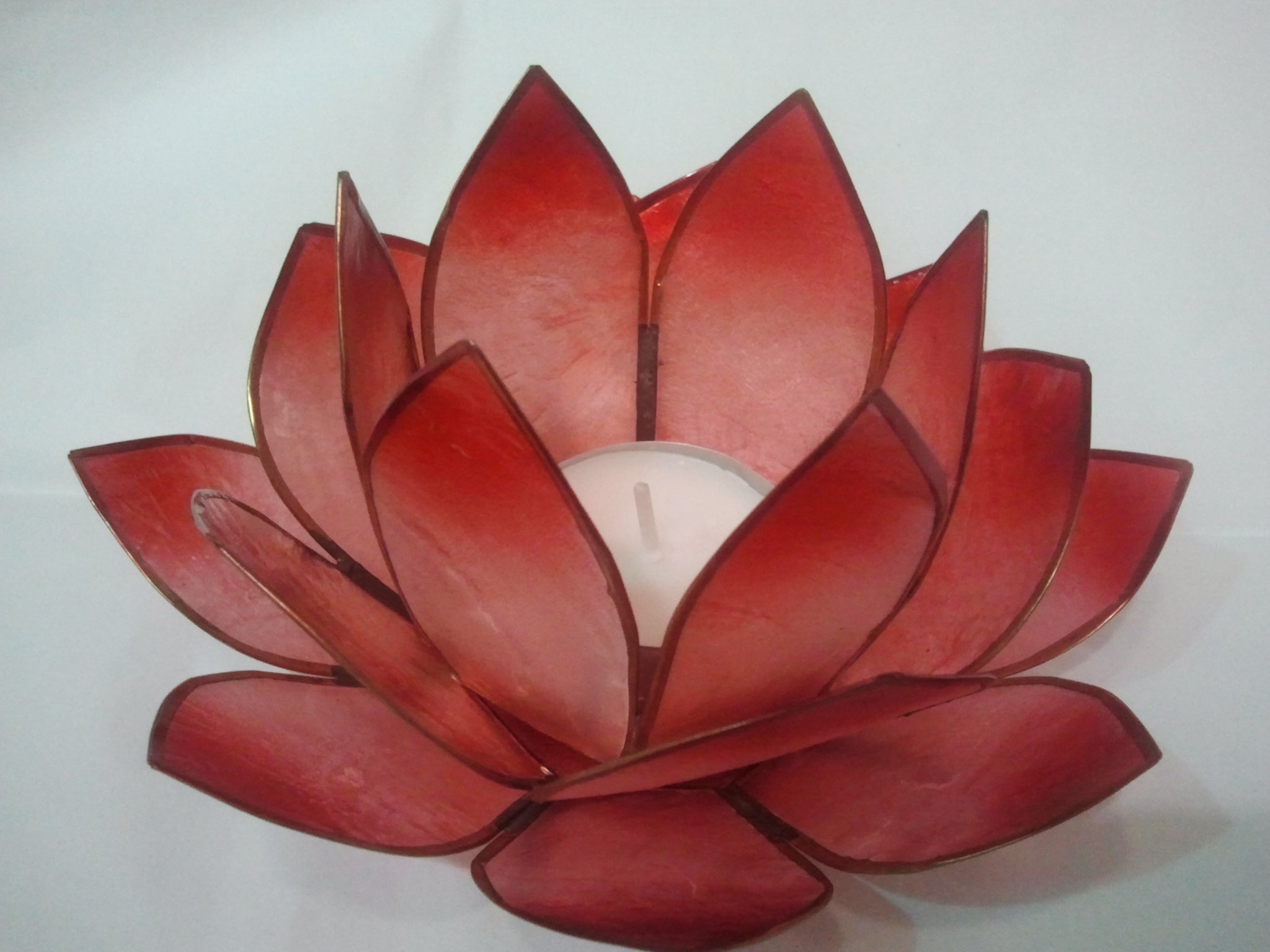 fleur-de-lotus-rouge.jpg