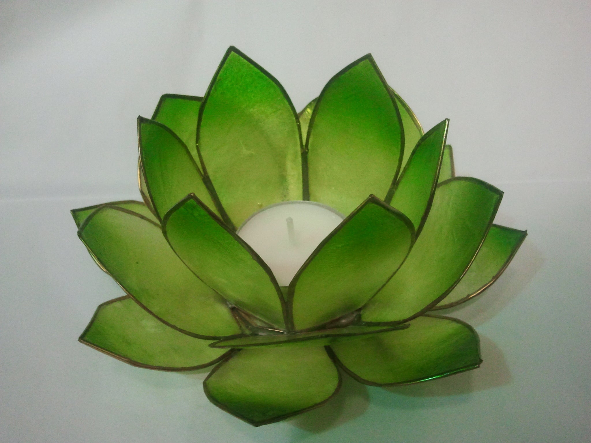 fleur-de-lotus-verte.jpg