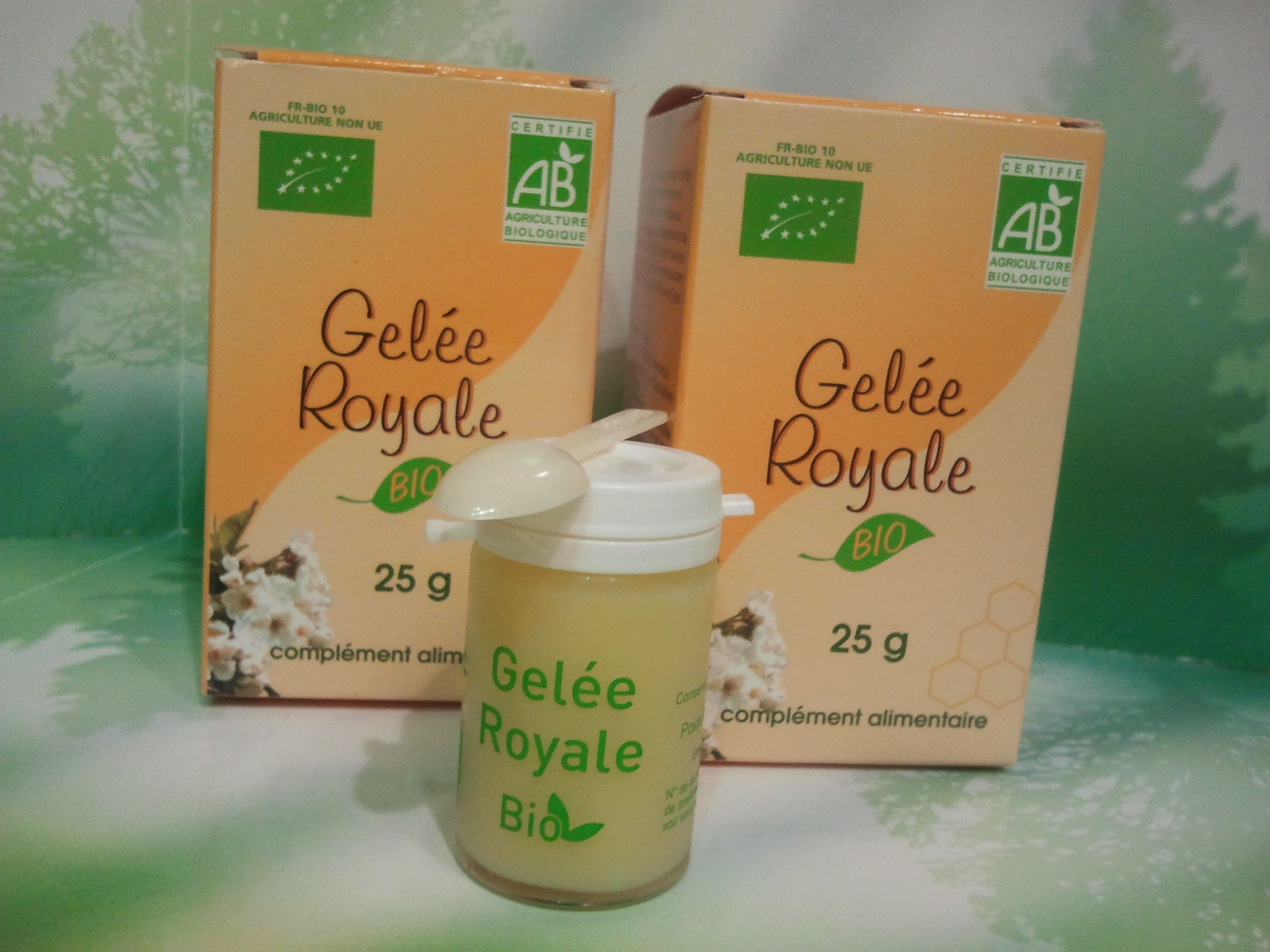 GELEE ROYALE FRAICHE BIOLOGIQUE 2x25g 