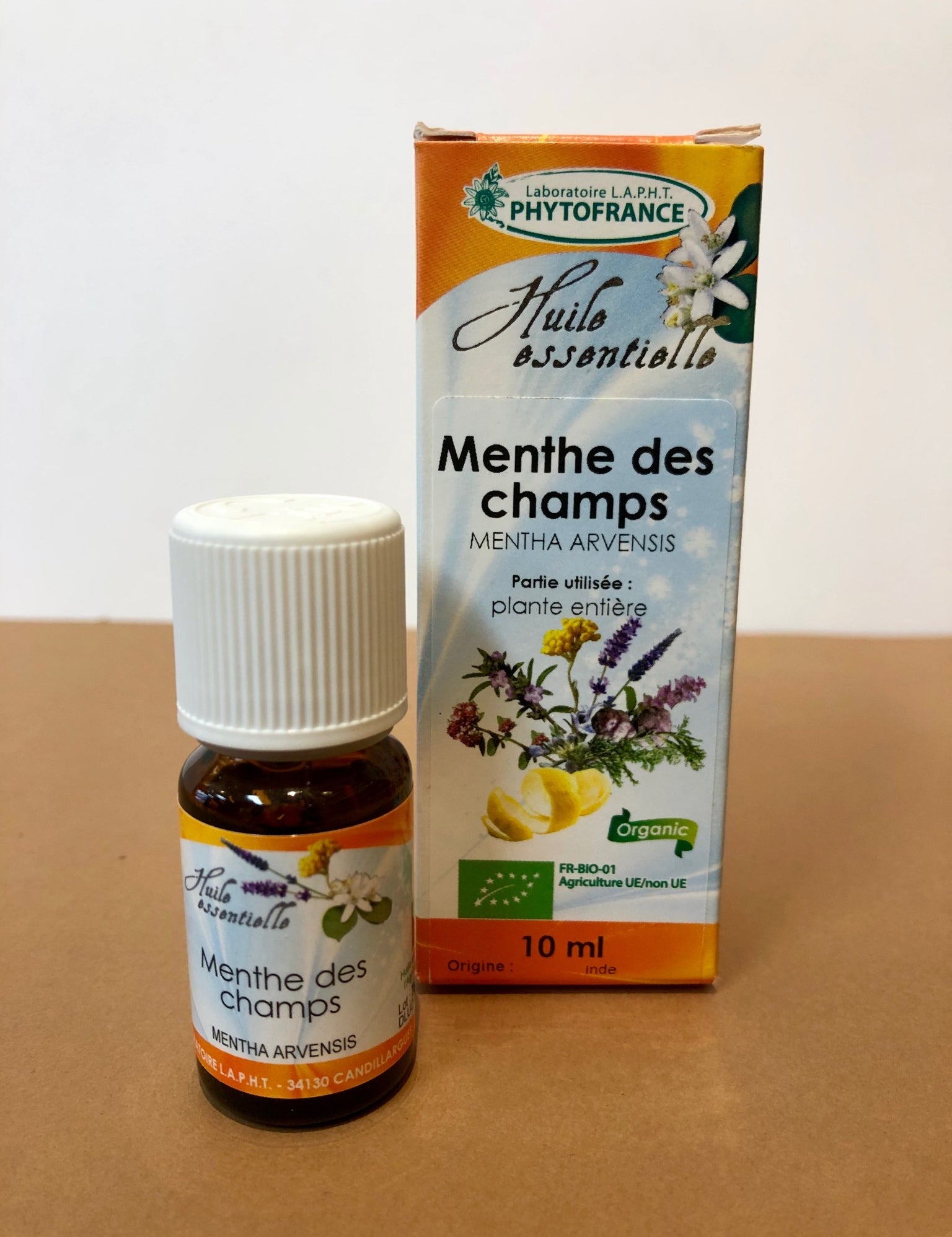 he-menthe-des-champs.jpg