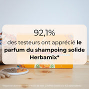 Shampooing solide anti-pelliculaire