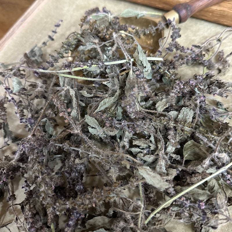basilic sacré tulsi origine occitanie france