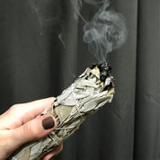 Encens Sauge Blanche de Californie