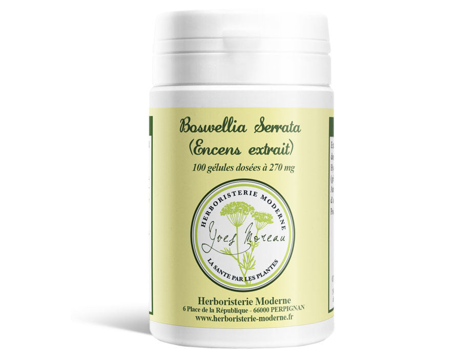 Boswellia Serrata Encens extrait 65% (Gélules)