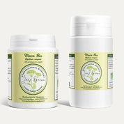 Maca BIO (Poudre)