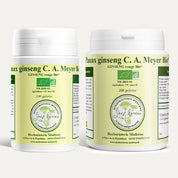 Ginseng Rouge Panax BIO Variété premium garantie CA MEYER  6 ans d'Age (Gélules)