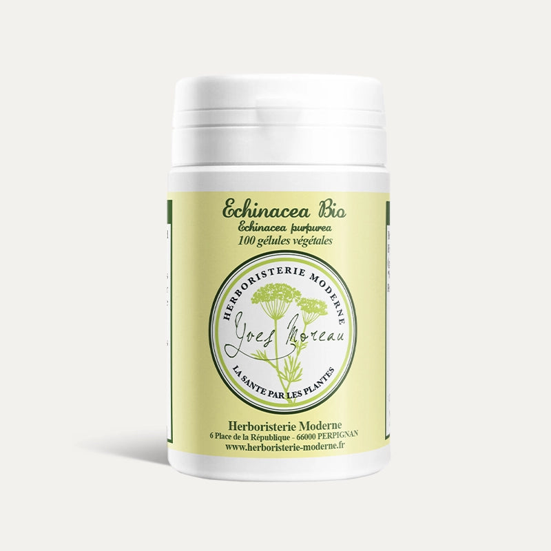 Échinacée echinacea BIO (Gélules)