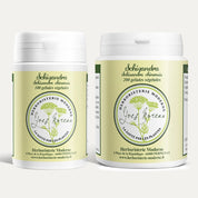 Schizandra (Schisandra) (Gélules)