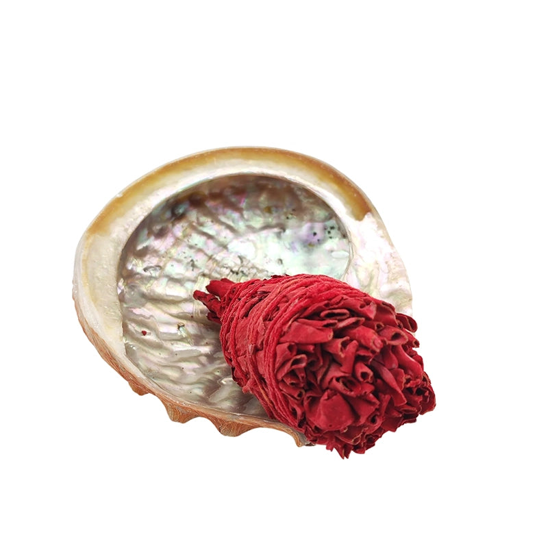 Fagot Sauge blanche de Californie et sang du dragon