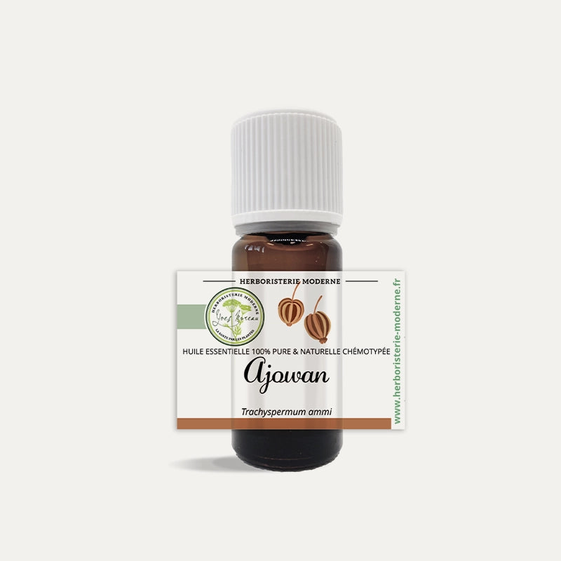herboristerie-moderne-huile-essentielle-ajowan.webp
