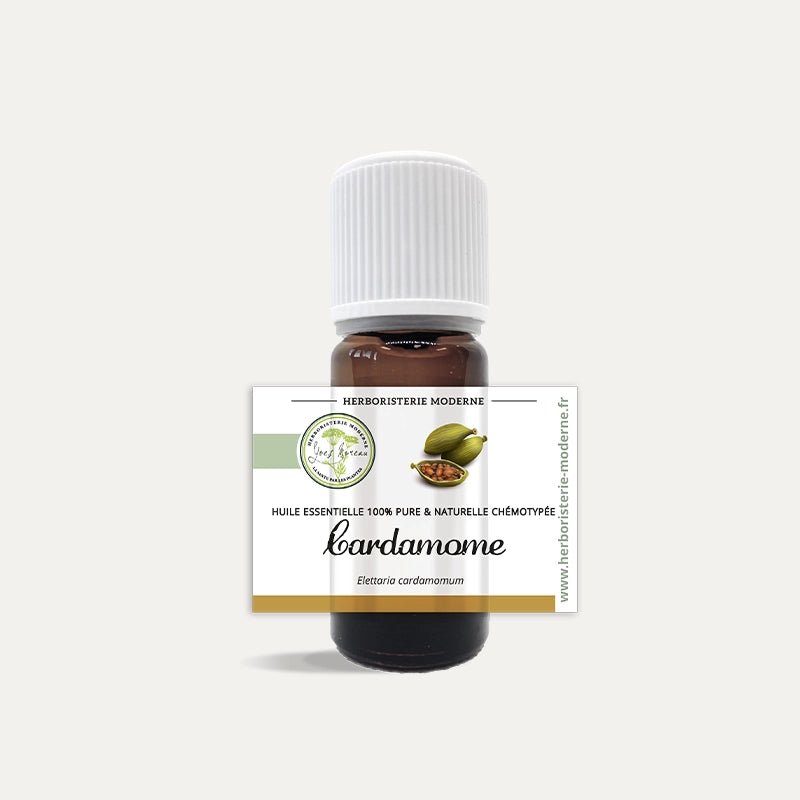 herboristerie-moderne-huile-essentielle-cardamome.webp