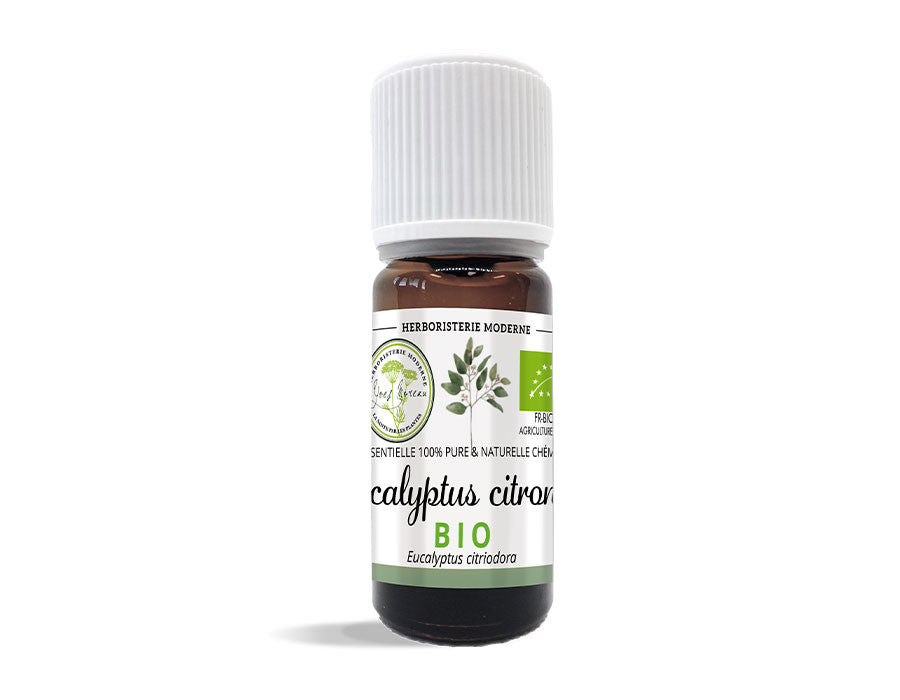 Huile essentielle Bio Eucalyptus Citronné Citriodora