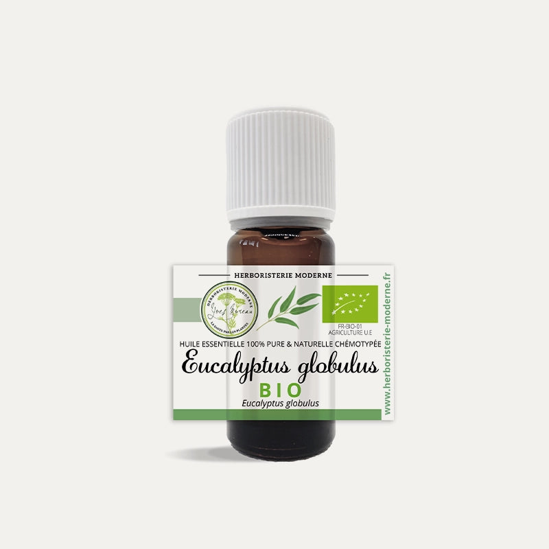 herboristerie-moderne-huile-essentielle-eucalyptus-globulus-bio.webp