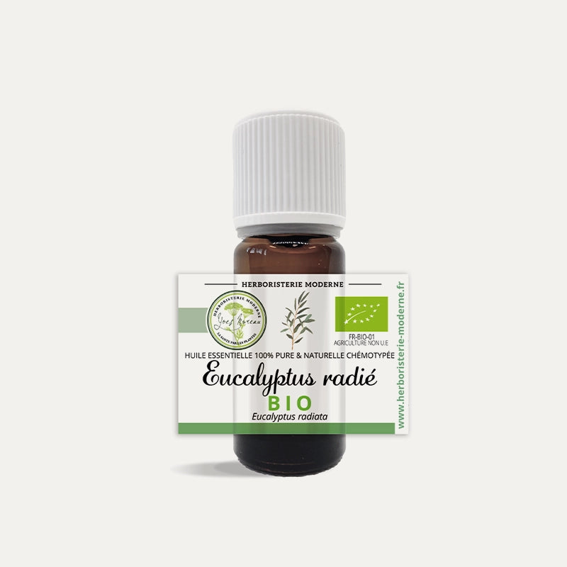 Huile essentielle Eucalyptus Radiata BIO