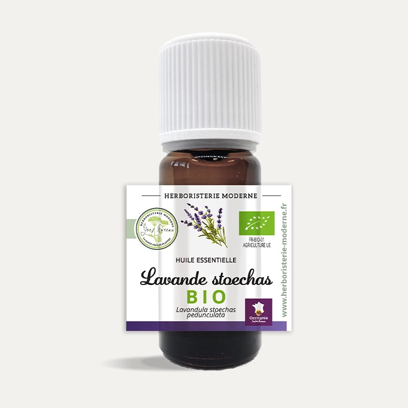 Huile essentielle Lavande stoechade BIO - Lavande papillon stoechas