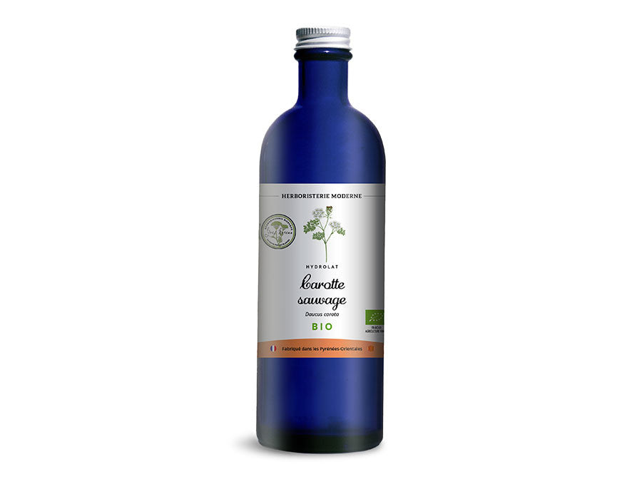 Hydrolat Carotte sauvage BIO