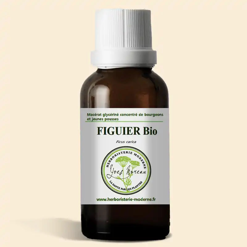 Macérat de bourgeons Figuier BIO