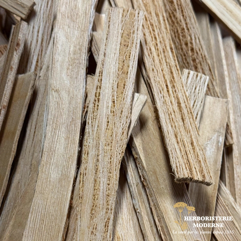 herboristerie-moderne-plantes-simples-Aubier-Tilleul-sauvage-baguette-du-Roussillon-tisane-en-vrac-2.webp