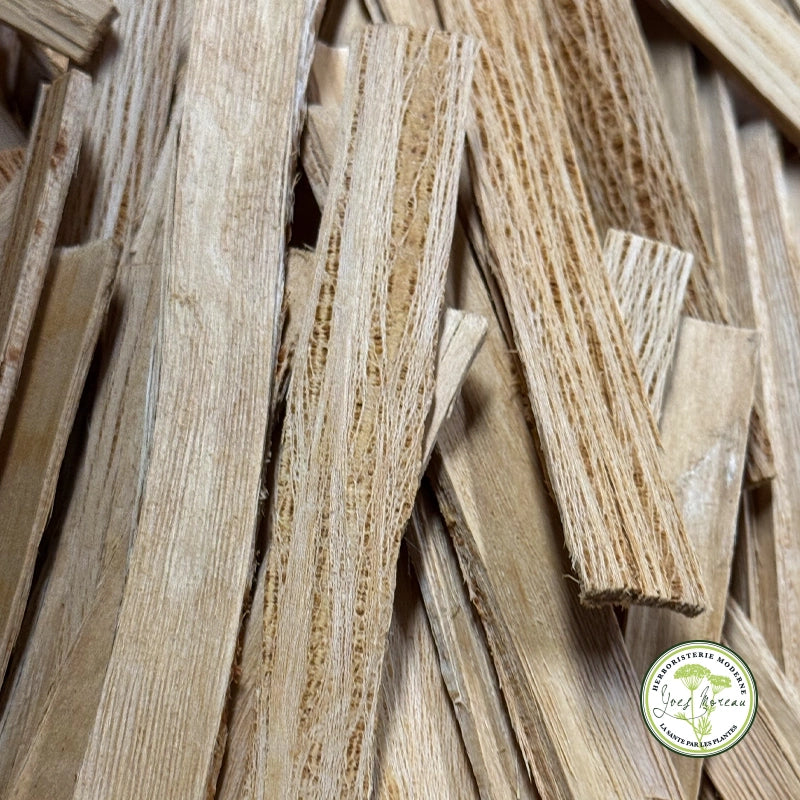 Herboristerie Moderne Aubier de Tilleul du Roussillon plante en vrac