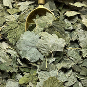 Herboristerie Moderne CASSIS feuilles BIO (Tisane en vrac)