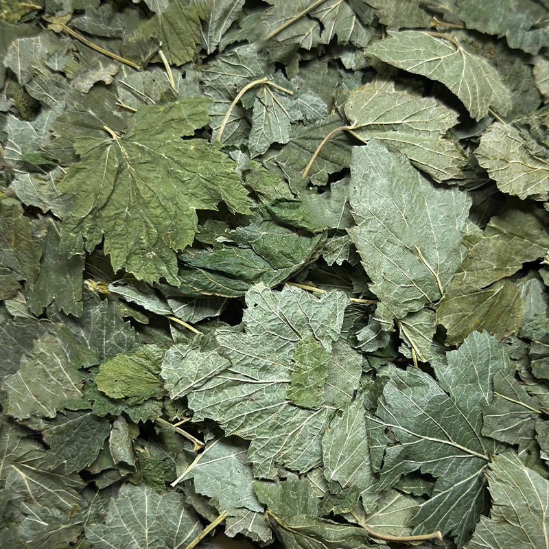 Herboristerie Moderne CASSIS feuilles BIO (Tisane en vrac)