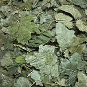 Herboristerie Moderne CASSIS feuilles BIO (Tisane en vrac)