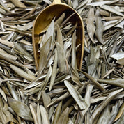 Olivier feuilles entières BIO (Tisane en vrac)