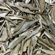 Olivier feuilles entières BIO (Tisane en vrac)