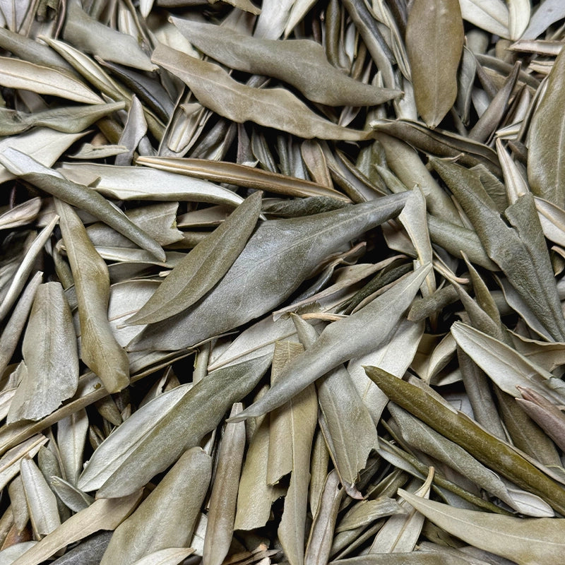 Olivier feuilles entières BIO (Tisane en vrac)