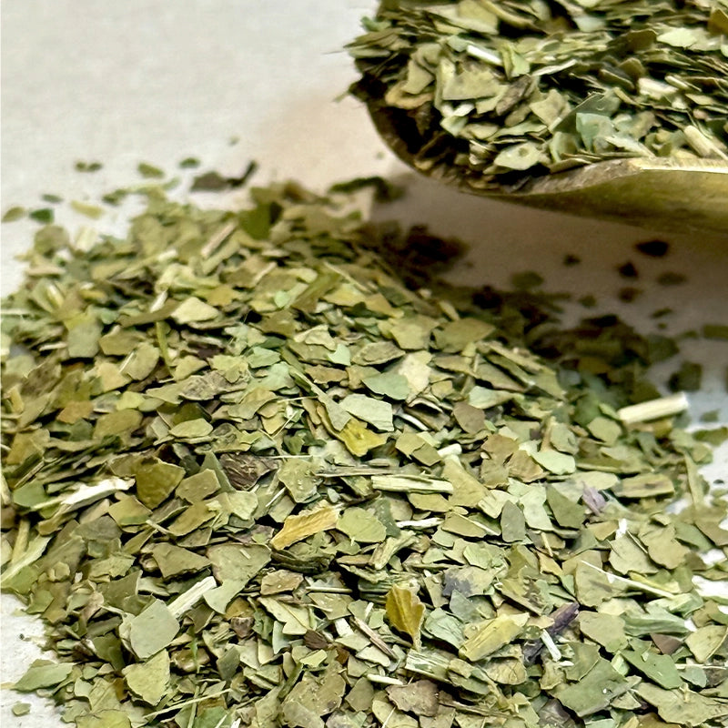 Maté Vert Yerba Maté BIO (Tisane en vrac)