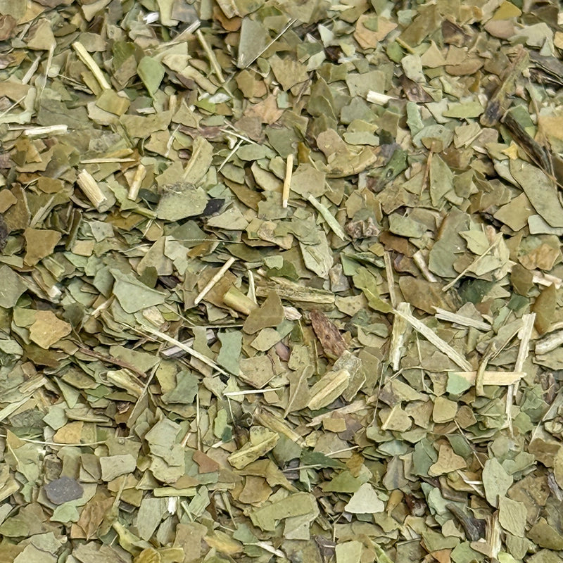 Maté Vert Yerba Maté BIO (Tisane en vrac)