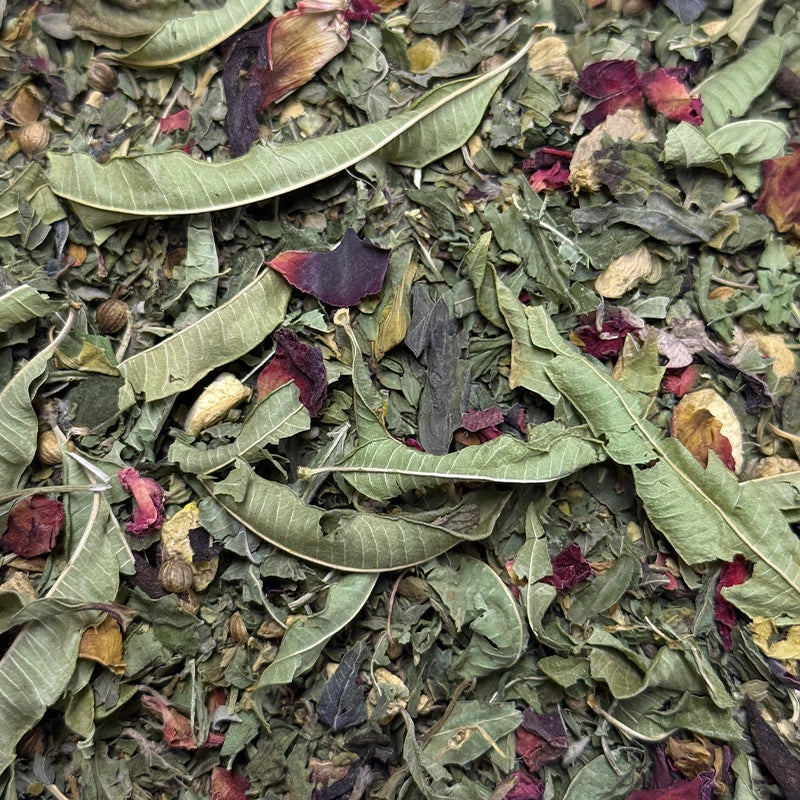 herboristerie-moderne-tisane-des-amoureux-1.webp