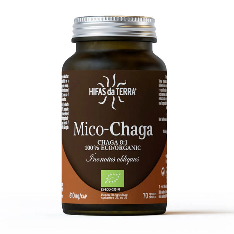 hifas-de-terra-champignons-mico-chaga-1.webp