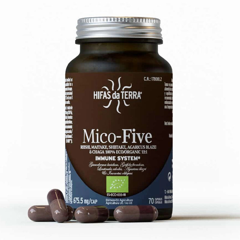 hifas-de-terra-champignons-mico-five-bio-1.webp