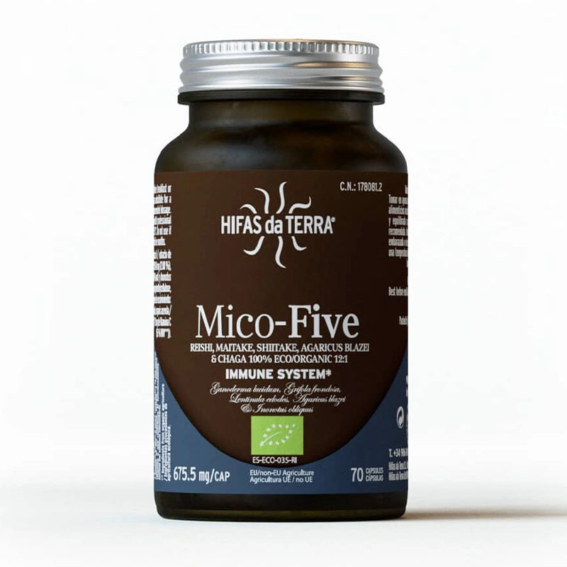 hifas-de-terra-champignons-mico-five-bio-2.webp