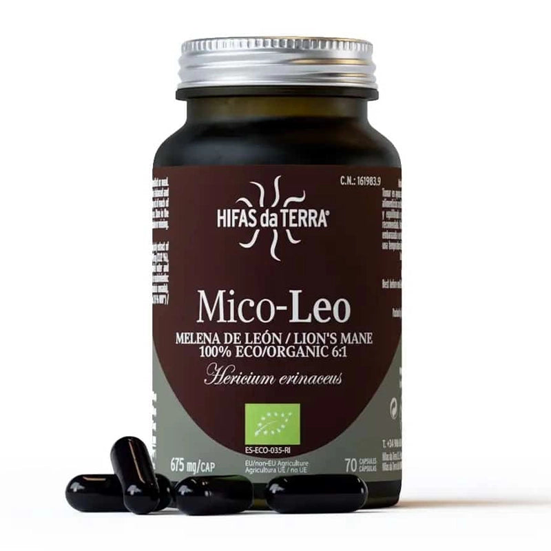 hifas-de-terra-champignons-mico-leo-bio-1.webp