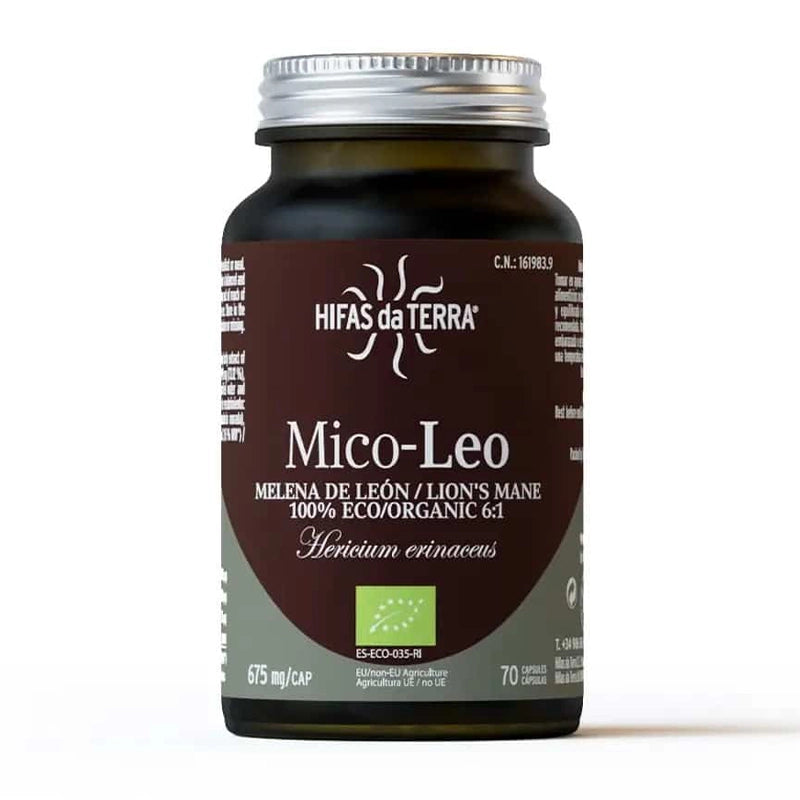 hifas-de-terra-champignons-mico-leo-bio-2.webp