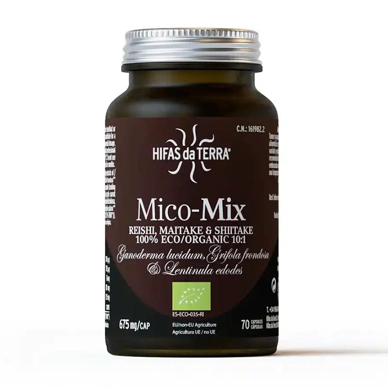 hifas-de-terra-champignons-mico-mix-bio-2.webp