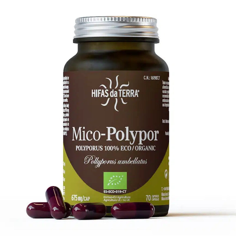 hifas-de-terra-champignons-mico-polypor-bio-1.webp