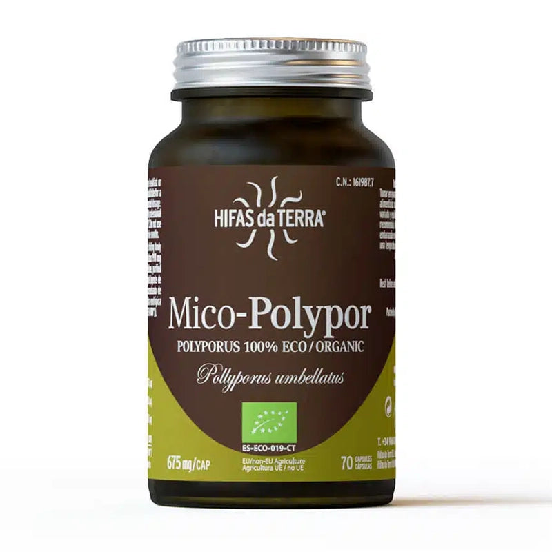 hifas-de-terra-champignons-mico-polypor-bio-2.webp