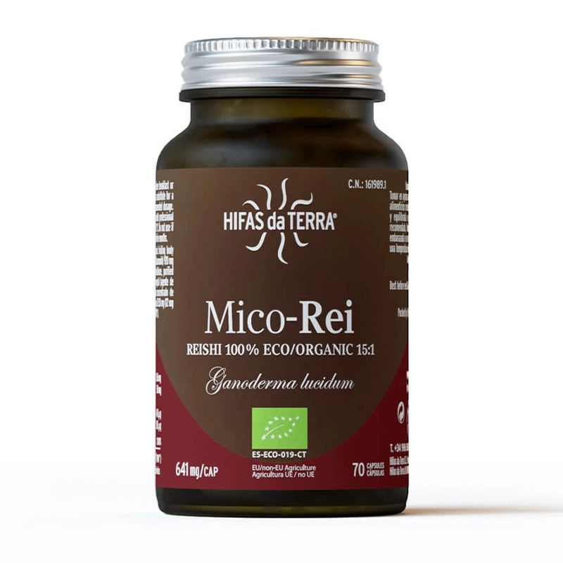 hifas-de-terra-champignons-mico-rei-bio-2.webp