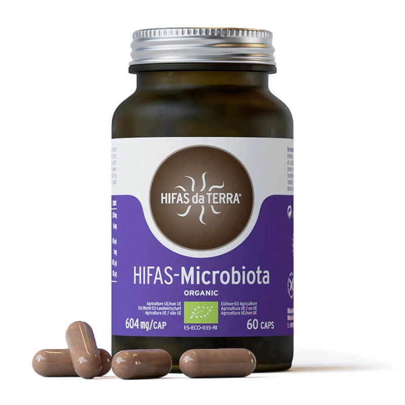 hifas-de-terra-champignons-microbiota-1.webp