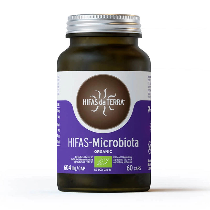 hifas-de-terra-champignons-microbiota-2.webp