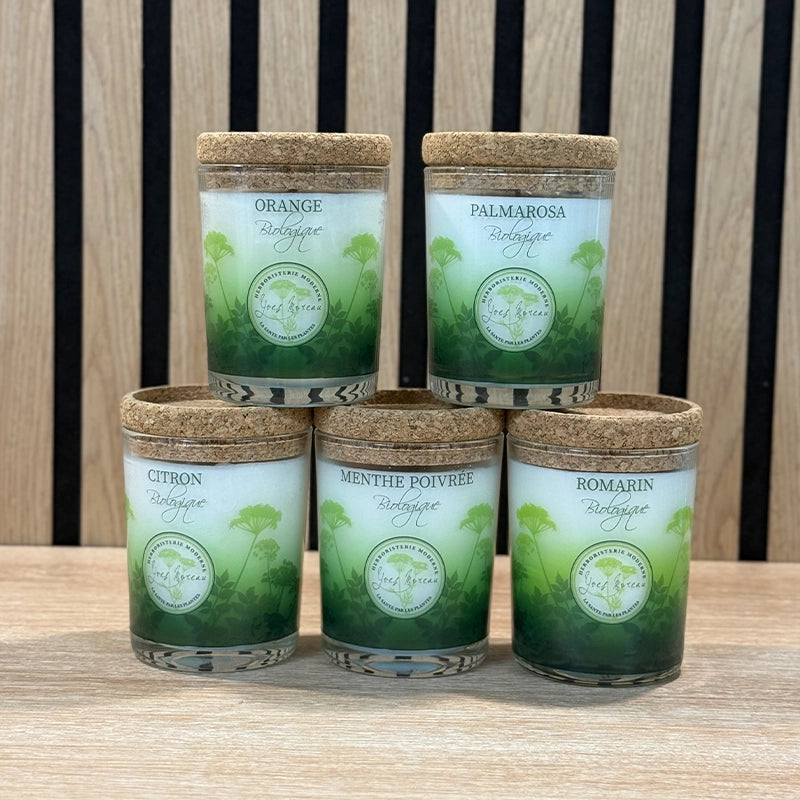hm-Bougie-planter-aux-huiles-essentielles.webp