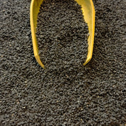 Nigelle - Cumin Noir BIO (Graines)