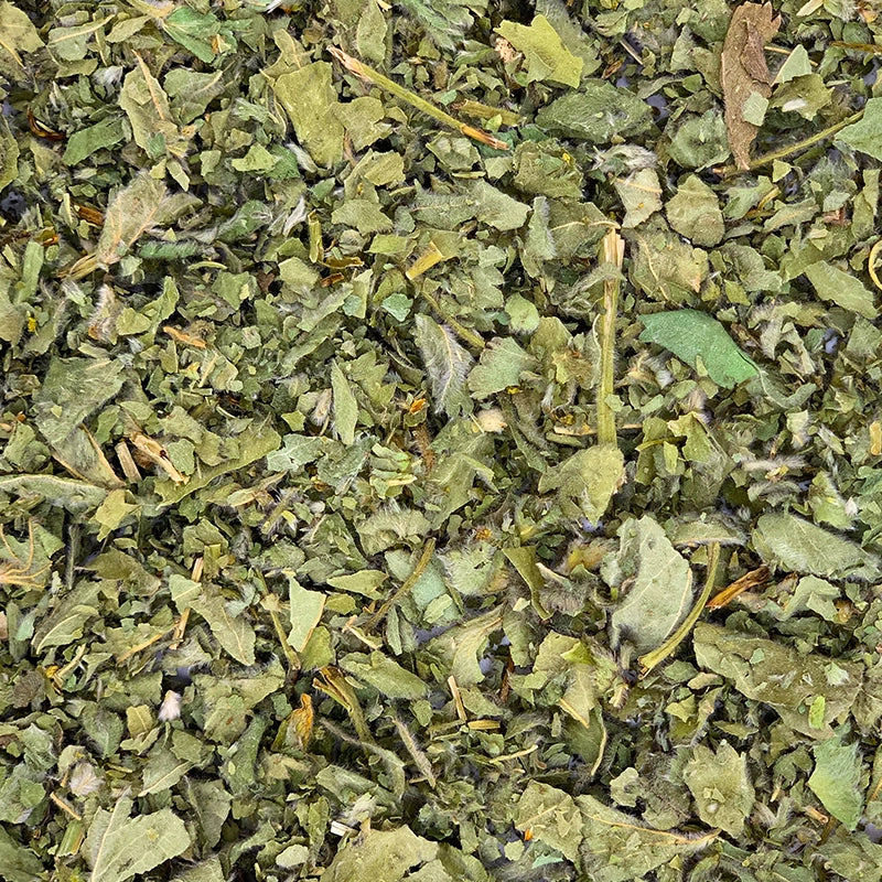 Alchemille Feuilles BIO (Tisane en vrac)