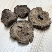 Harpagophytum BIO (Gélules)