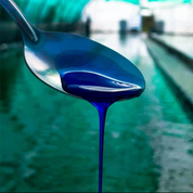 Phycocyanine (À boire)