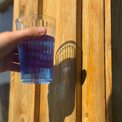 Phycocyanine (À boire)