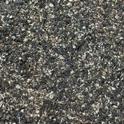 Nigelle - Cumin Noir (Poudre)